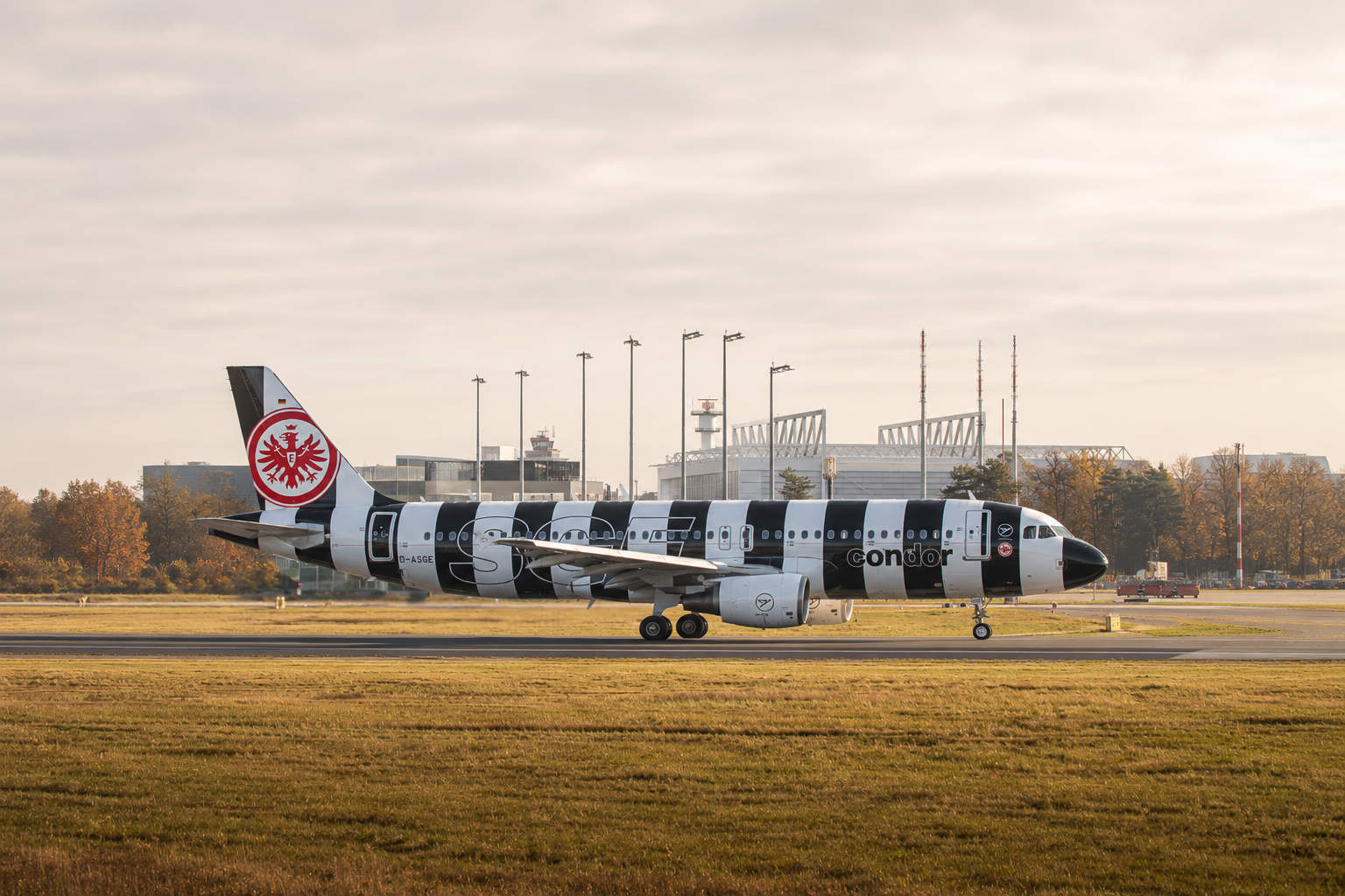 Passenger plane shown from the side in black-and-white-striped special livery on an airport runway.